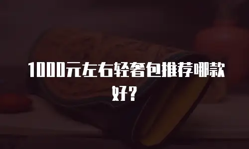 1000元左右轻奢包推荐哪款好？