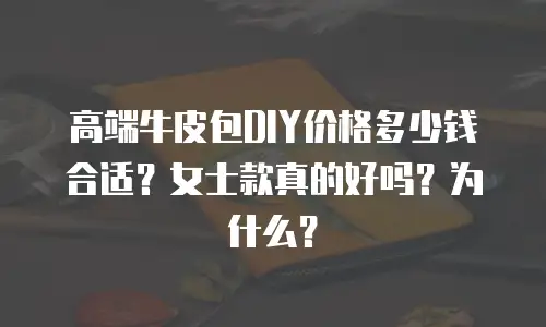 高端牛皮包DIY价格多少钱合适？女士款真的好吗？为什么？