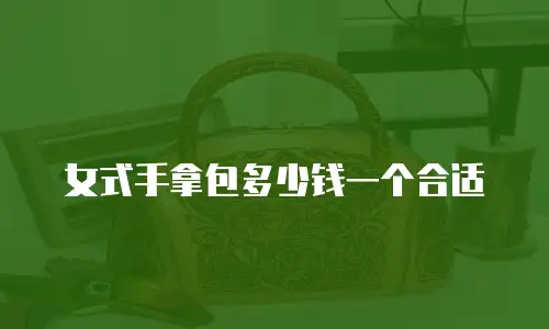 女式手拿包多少钱一个合适