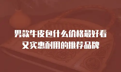 男款牛皮包什么价格最好看又实惠耐用的推荐品牌