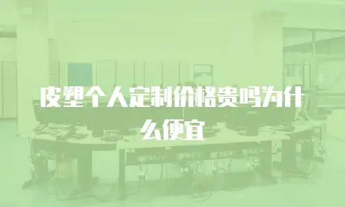皮塑个人定制价格贵吗为什么便宜