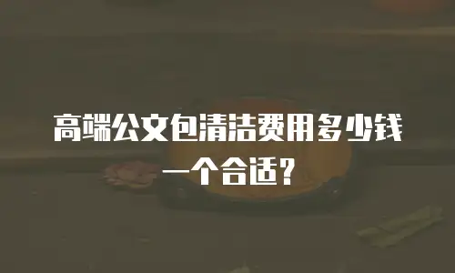 高端公文包清洁费用多少钱一个合适？