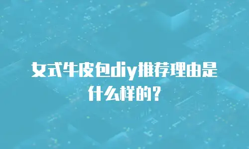 女式牛皮包diy推荐理由是什么样的？