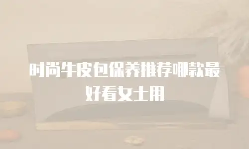 时尚牛皮包保养推荐哪款最好看女士用