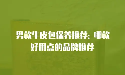 男款牛皮包保养推荐: 哪款好用点的品牌推荐