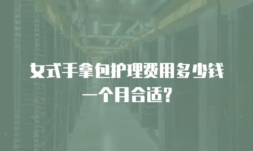 女式手拿包护理费用多少钱一个月合适？