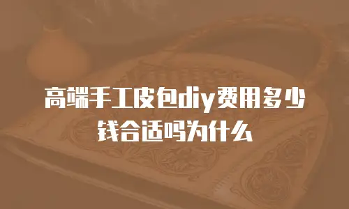 高端手工皮包diy费用多少钱合适吗为什么