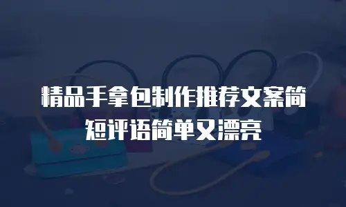 精品手拿包制作推荐文案简短评语简单又漂亮
