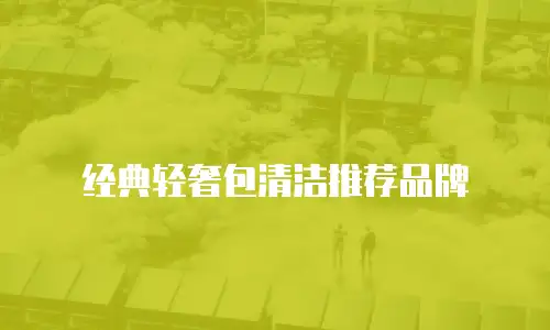 经典轻奢包清洁推荐品牌