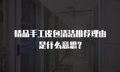 精品手工皮包清洁推荐理由是什么意思？