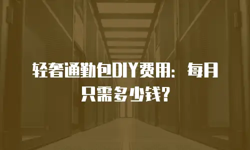 轻奢通勤包DIY费用：每月只需多少钱？