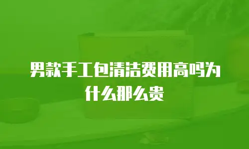 男款手工包清洁费用高吗为什么那么贵