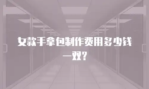 女款手拿包制作费用多少钱一双？