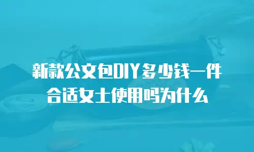 新款公文包DIY多少钱一件合适女士使用吗为什么