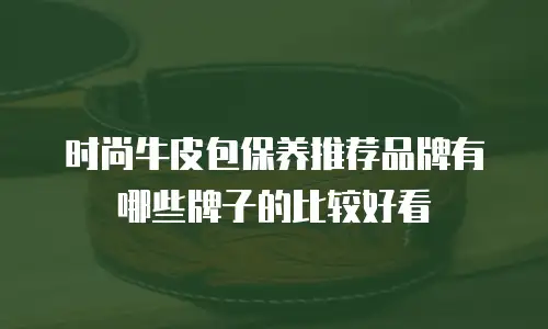 时尚牛皮包保养推荐品牌有哪些牌子的比较好看