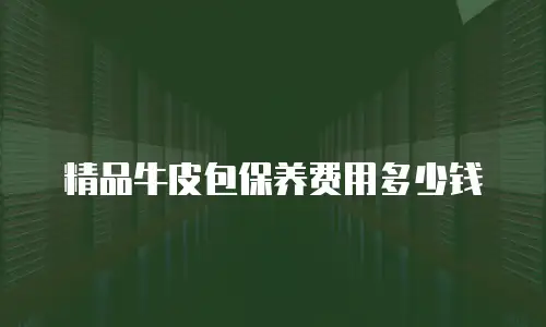 精品牛皮包保养费用多少钱