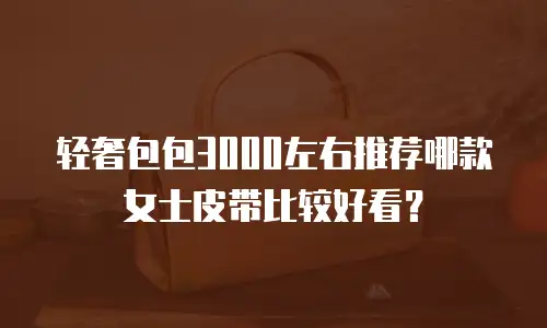 轻奢包包3000左右推荐哪款女士皮带比较好看？