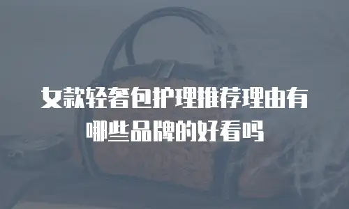女款轻奢包护理推荐理由有哪些品牌的好看吗