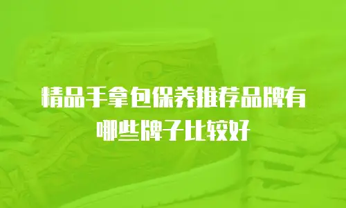 精品手拿包保养推荐品牌有哪些牌子比较好