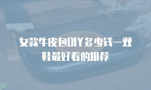 女款牛皮包DIY多少钱一双鞋最好看的推荐