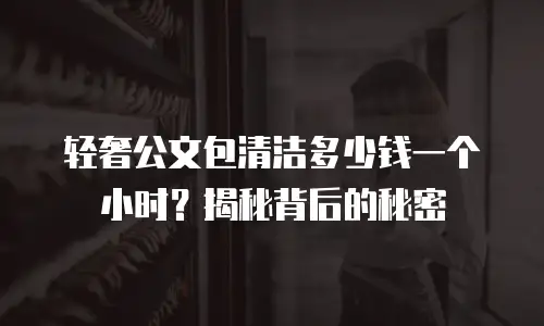 轻奢公文包清洁多少钱一个小时？揭秘背后的秘密