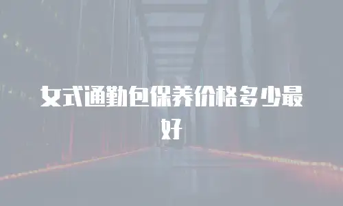 女式通勤包保养价格多少最好