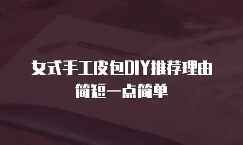 女式手工皮包DIY推荐理由简短一点简单