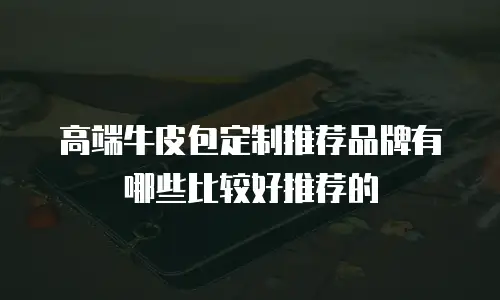 高端牛皮包定制推荐品牌有哪些比较好推荐的