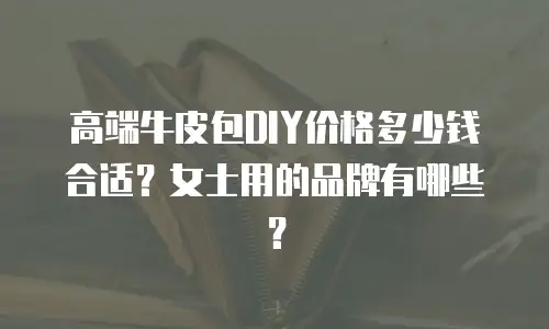 高端牛皮包DIY价格多少钱合适？女士用的品牌有哪些？
