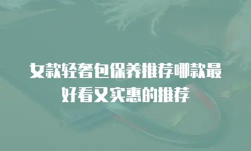 女款轻奢包保养推荐哪款最好看又实惠的推荐