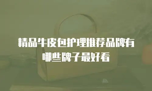 精品牛皮包护理推荐品牌有哪些牌子最好看