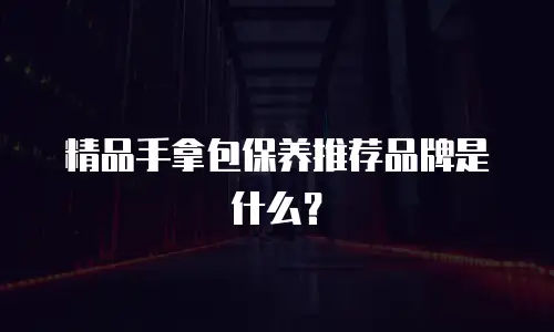 精品手拿包保养推荐品牌是什么？