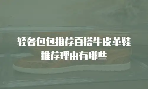 轻奢包包推荐百搭牛皮革鞋推荐理由有哪些