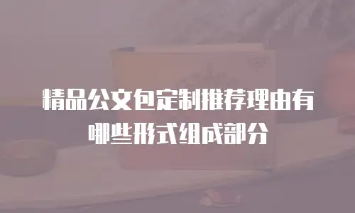 精品公文包定制推荐理由有哪些形式组成部分