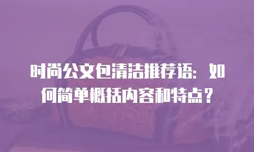 时尚公文包清洁推荐语：如何简单概括内容和特点？