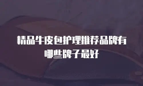 精品牛皮包护理推荐品牌有哪些牌子最好