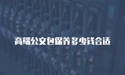 高端公文包保养多少钱合适