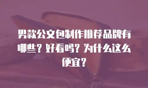 男款公文包制作推荐品牌有哪些？好看吗？为什么这么便宜？