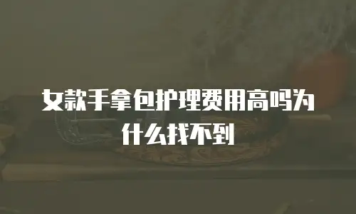 女款手拿包护理费用高吗为什么找不到