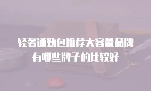 轻奢通勤包推荐大容量品牌有哪些牌子的比较好