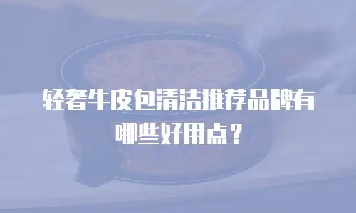 轻奢牛皮包清洁推荐品牌有哪些好用点？