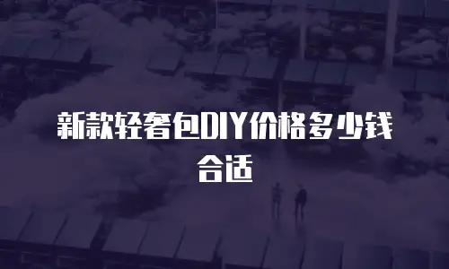 新款轻奢包DIY价格多少钱合适