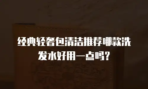 经典轻奢包清洁推荐哪款洗发水好用一点吗？