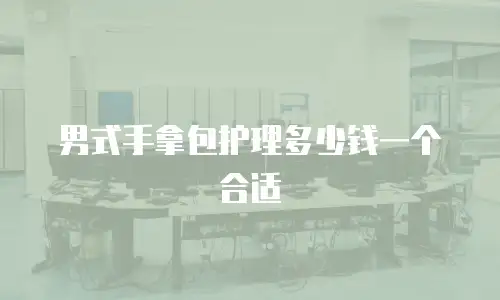 男式手拿包护理多少钱一个合适