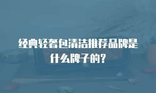 经典轻奢包清洁推荐品牌是什么牌子的？