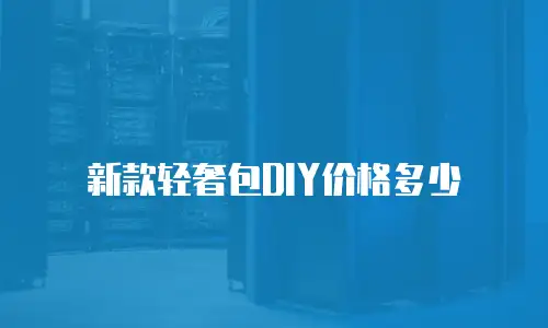 新款轻奢包DIY价格多少