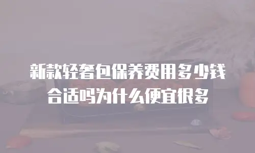 新款轻奢包保养费用多少钱合适吗为什么便宜很多