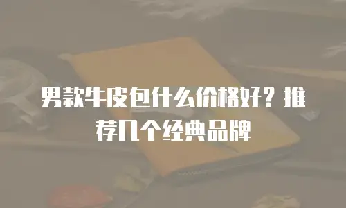 男款牛皮包什么价格好？推荐几个经典品牌