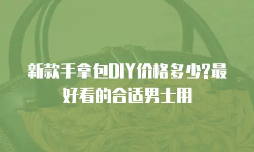 新款手拿包DIY价格多少?最好看的合适男士用