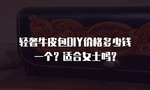 轻奢牛皮包DIY价格多少钱一个？适合女士吗？